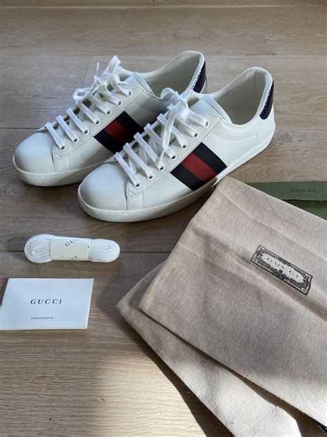 koala gucci|Gucci Sneakers for Men .